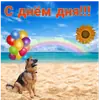 Стикер С днём картинки
