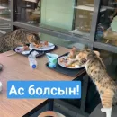 Стикер Бірінші пак