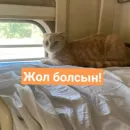 Стикер Бірінші пак