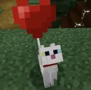 котики