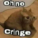Стикер котики