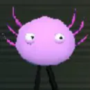 Kinito PET