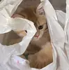 Стикер котёнок Ра