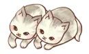 Стикер Kitten daily 🐈