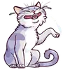Meme Cats