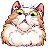 Стикер Meme Cats