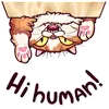 Стикер Meme Cats