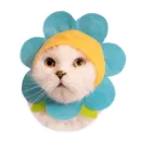 Стикер Kitty