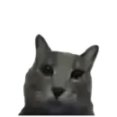 Стикер Kitty