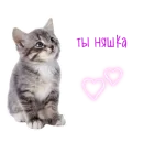 Стикер Kitty
