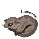 Стикер Шуня