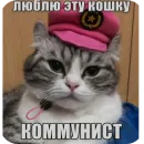 Стикер Komaru