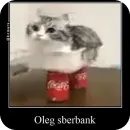 Комару рофлс