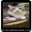 Стикер Комару рофлс