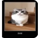 Стикер Комару рофлс