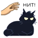 Стикер КошМар