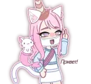 Кошка Лана