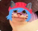 Стикер Cats Memes