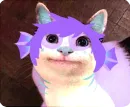 Стикер Cats Memes