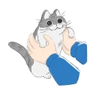 Стикер Котик Кирюга