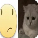 Memes