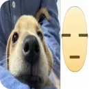 Стикер Memes