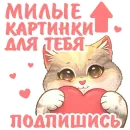 Котики и фразочки 4