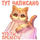 Стикер Котики и фразочки 4