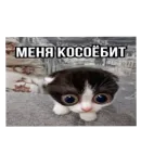 Стикер Котики и фразочки