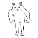 Стикер Котики