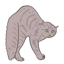 Стикер Котики