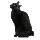 Стикер Котские коты