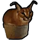 Стикер Коты ъеъ