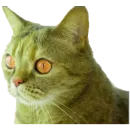 Стикер Коты ъеъ