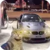 Стикер Коты и машины
