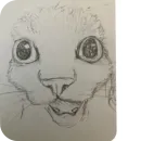 Стикер Коты кэта