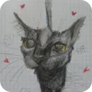 Стикер Коты кэта