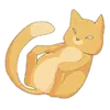 Cat >:D