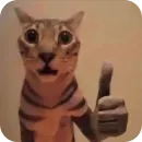 Стикер Котятки