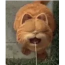 Котыкы