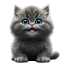 Котенок