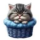 Стикер Котенок
