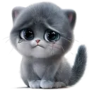 Стикер Котенок