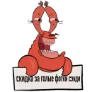 Стикер 🚬🦀 Krusty Drugs🦀 🚬