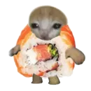 Смешные котики