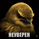 Birds Memes