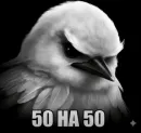 Стикер Birds Memes