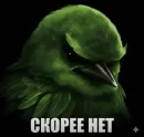 Стикер Birds Memes