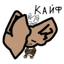 Куди