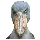 Стикер Китоглав